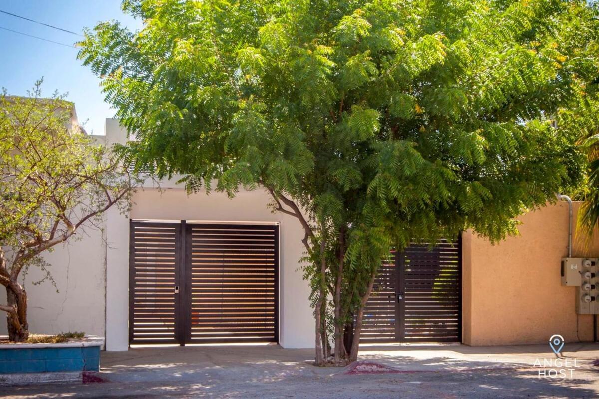 Downtown Room With Pool Bbq And Near All The Hotspots La Paz Exteriör bild